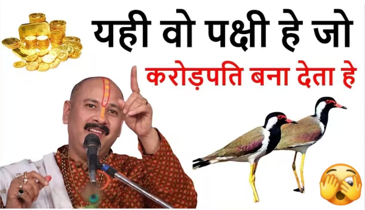 यह वो पक्षी है जो