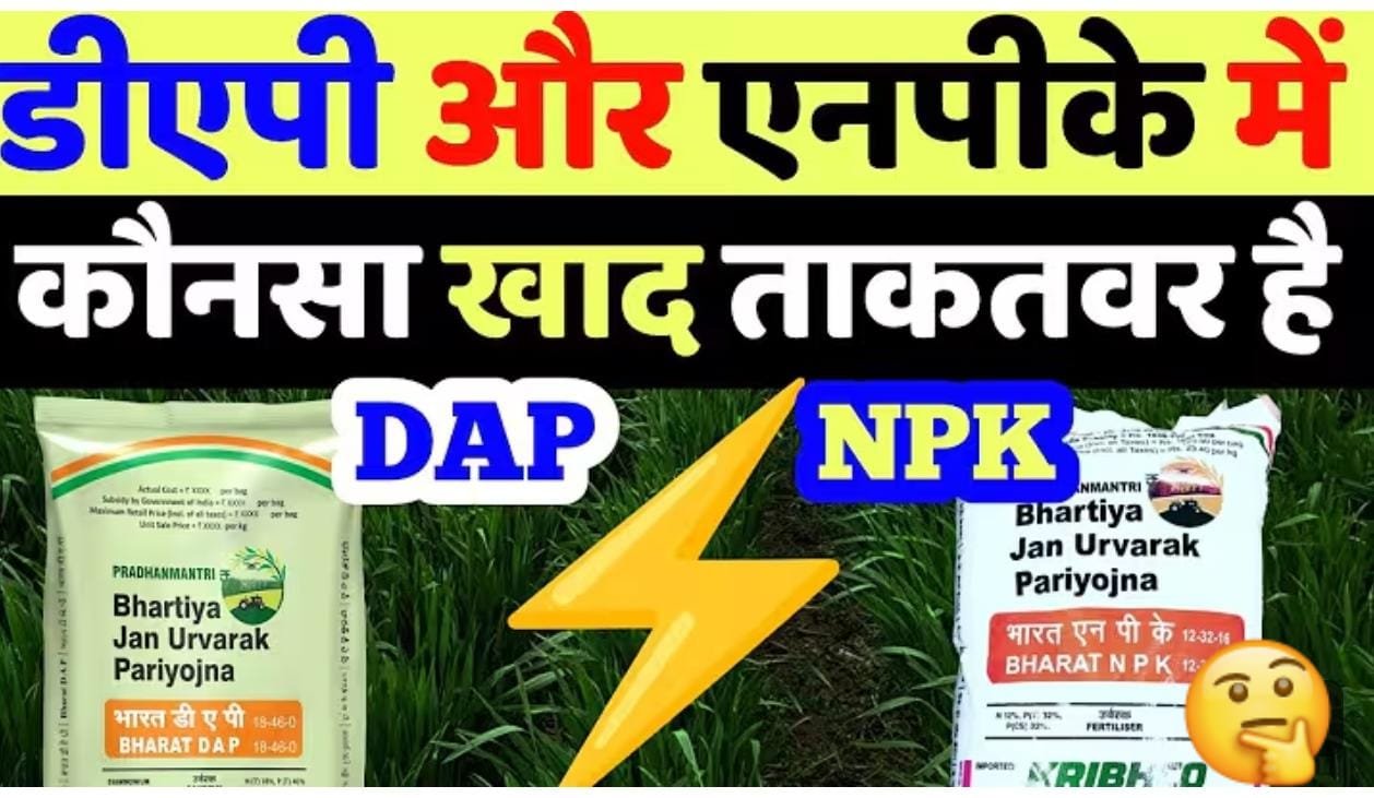 DAP खाद व NPK